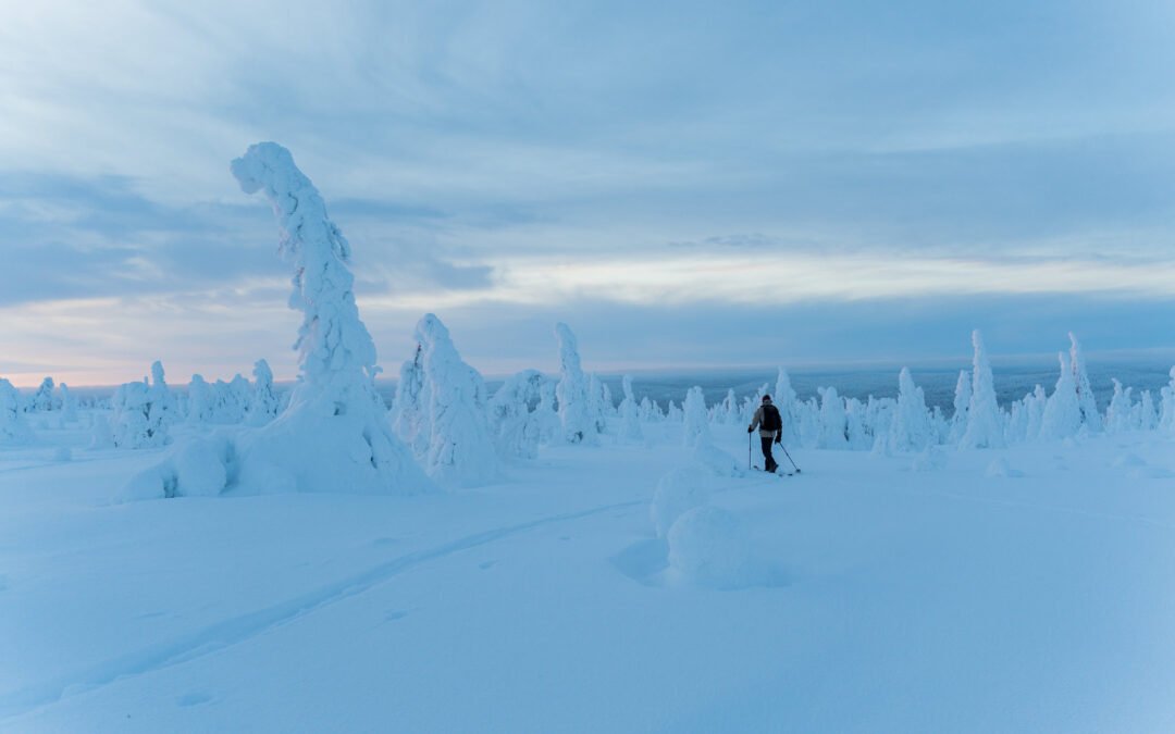 Excursion au Parc National de Pyhä-Luosto depuis Rovaniemi (Privée)