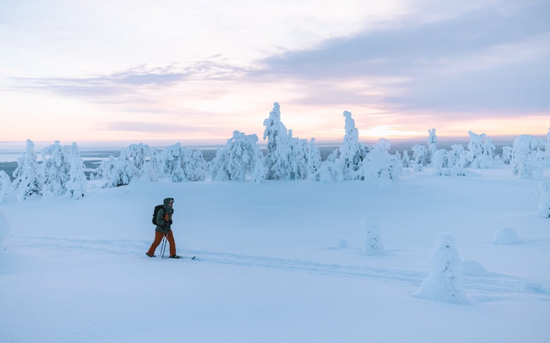 Ski Trekking Expedition in Pyhä-Luosto National Park (3 Days)