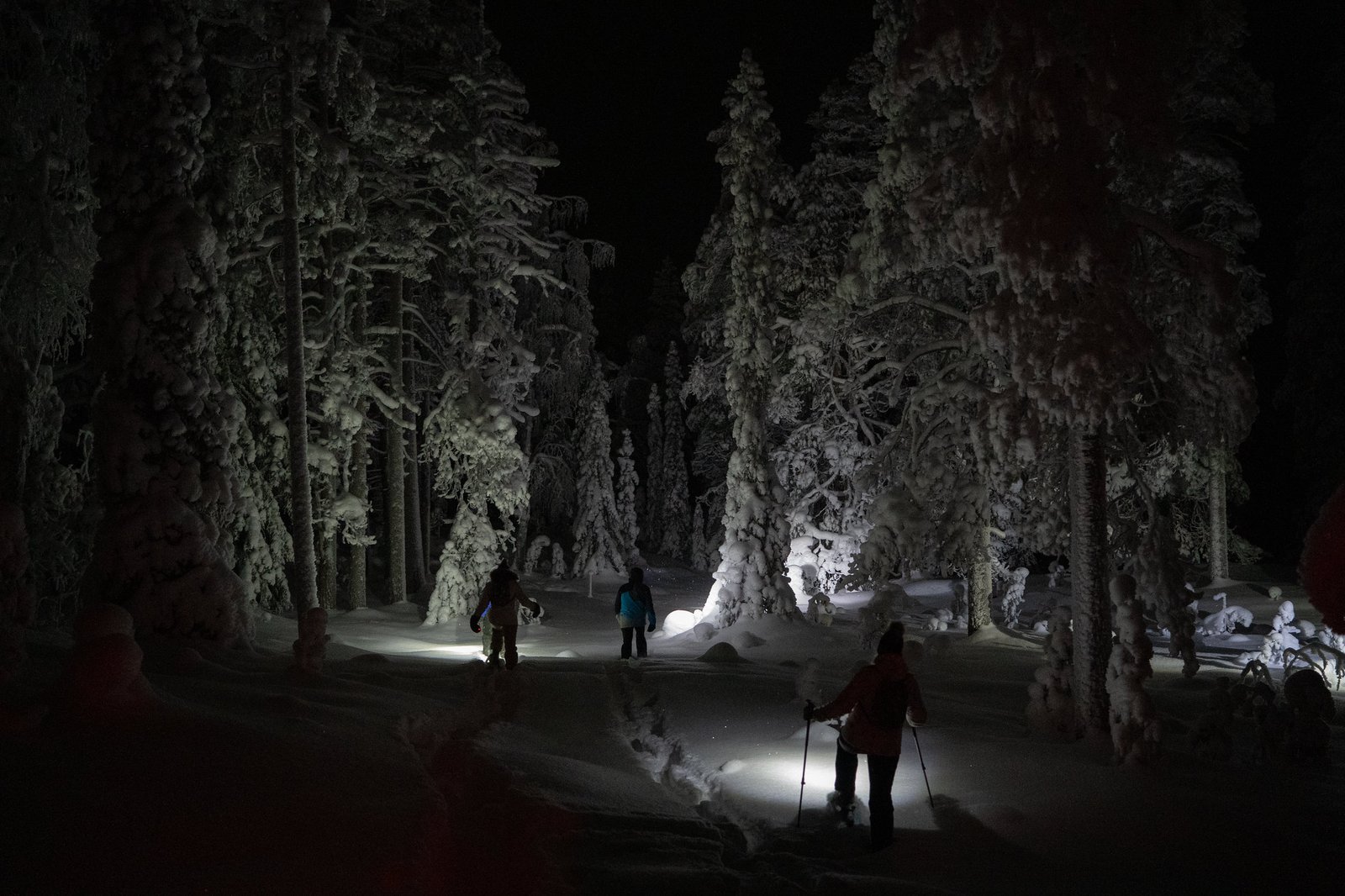 Snowshoes by night