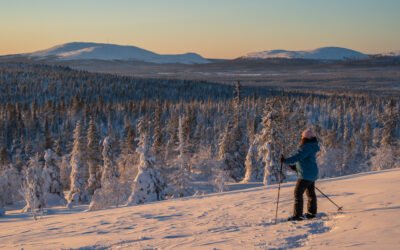 Winter trip from Rovaniemi to Ylläs (6 days)