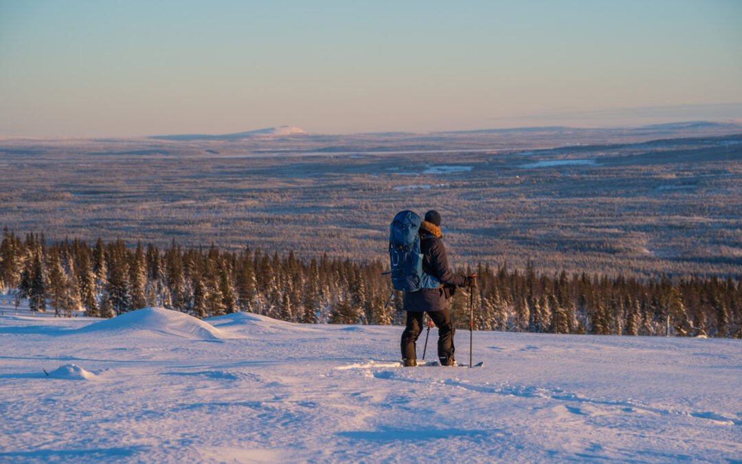 Expédition en ski dans le Parc National d’Ylläs (3 jours)