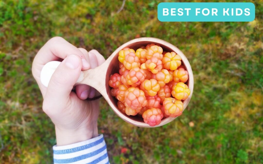 Arctic Berry & Mushrooms Picking Hike