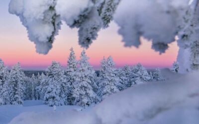 Séjour d’hiver en Laponie (6 Jours)