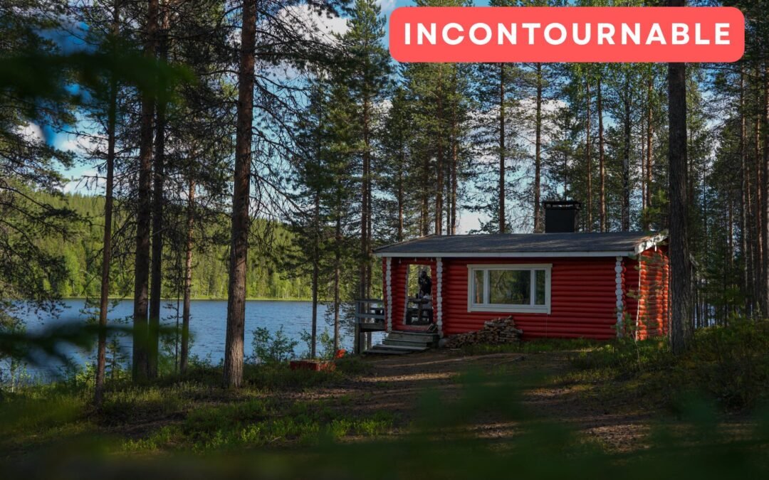Expérience privée de sauna en pleine nature en été & automne