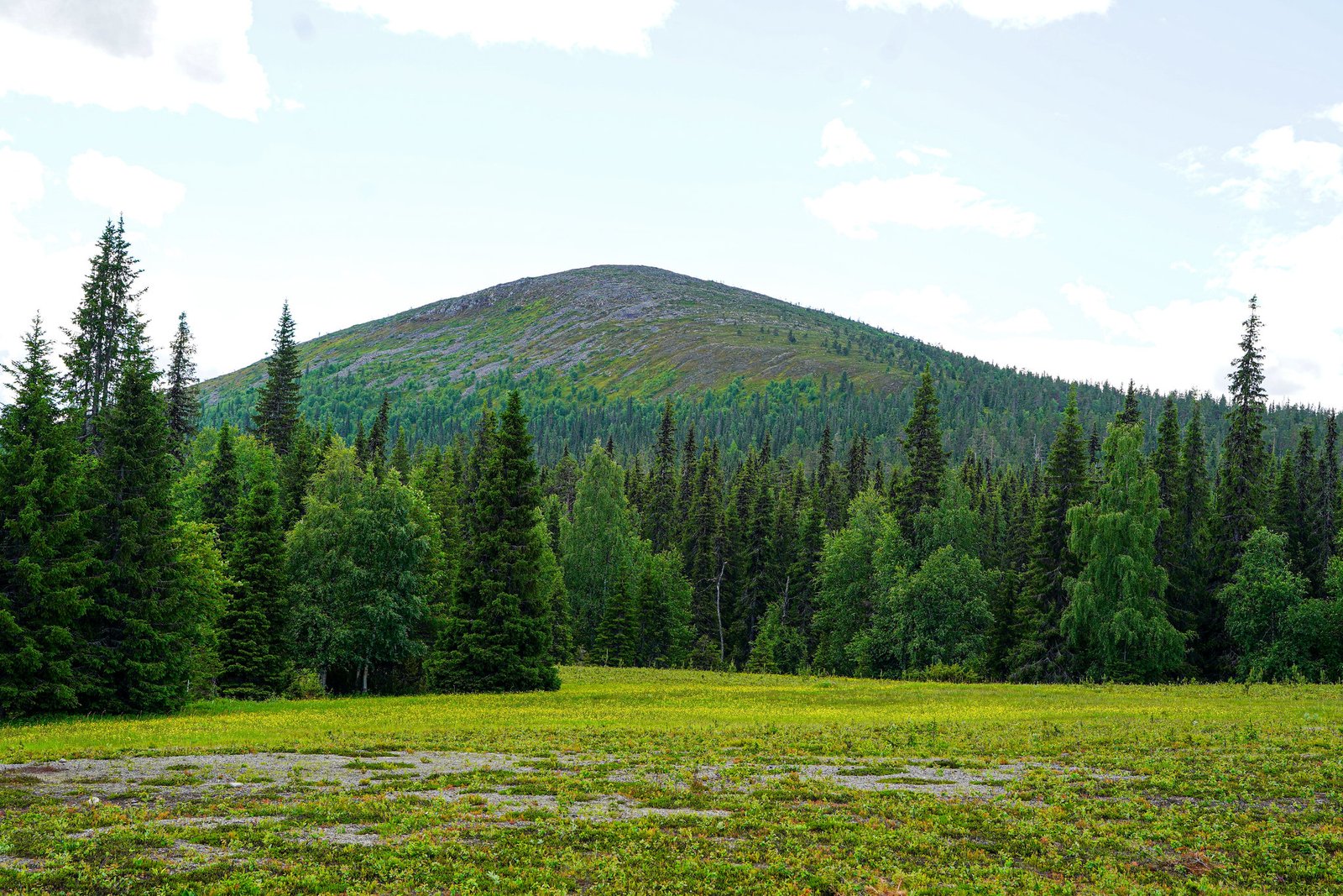 Pallastunturi Hike