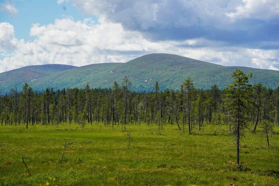 DIY Hike in Hetta-Pallas (3 Days, 2 Nights) | Trek in Lapland