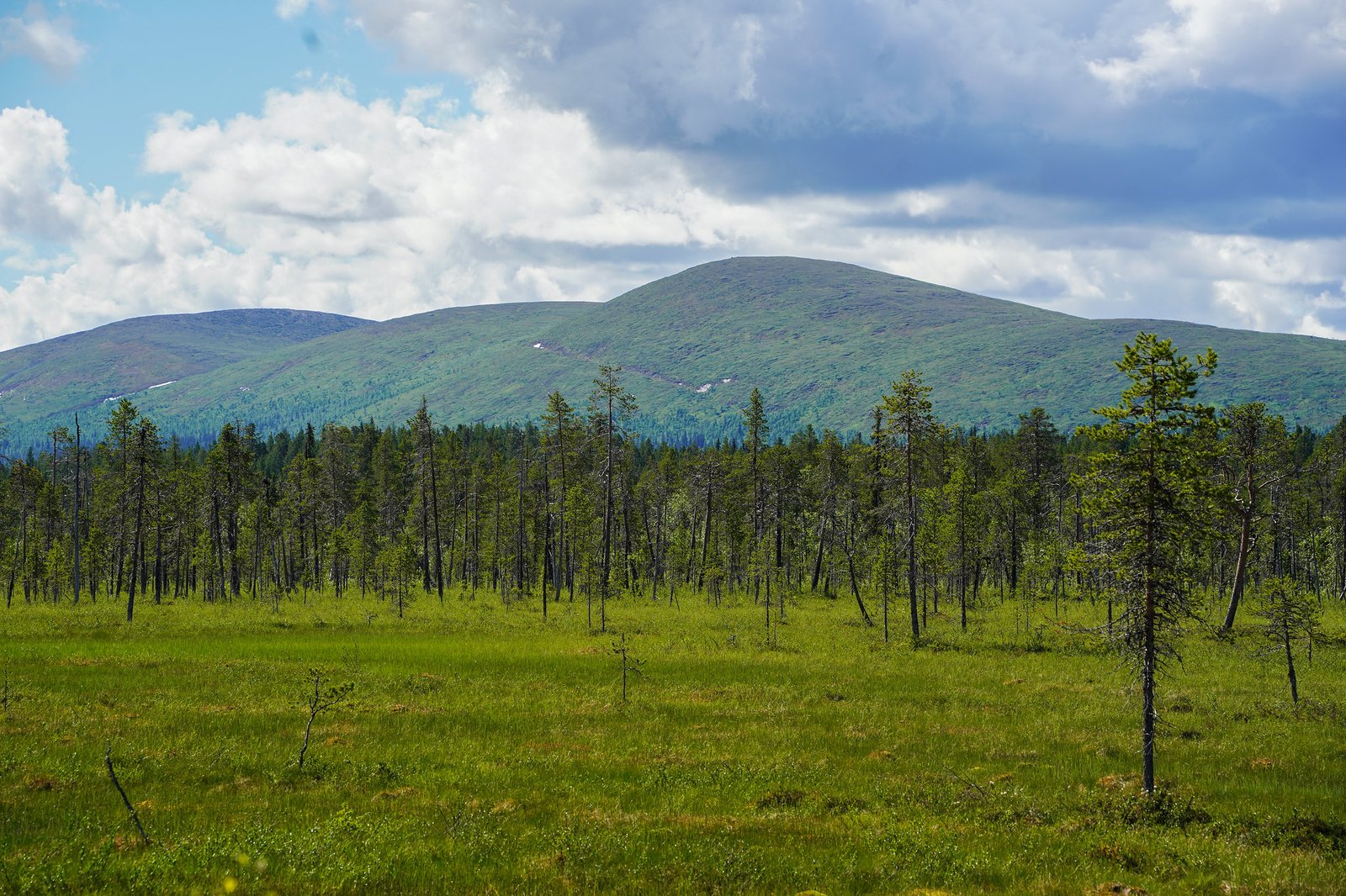 Pallas Hetta Hike 