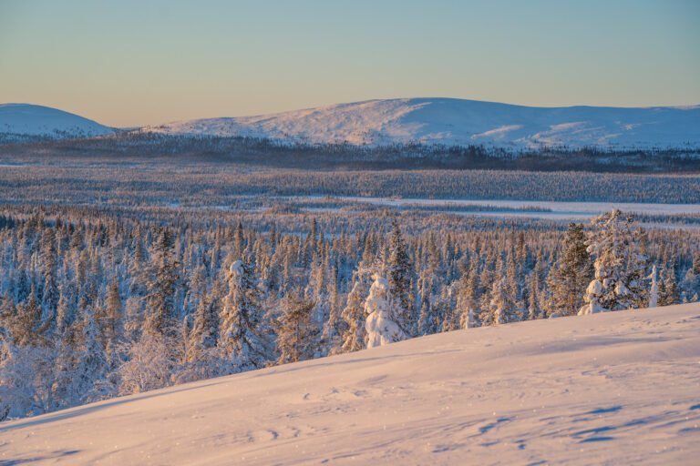 Ylläs