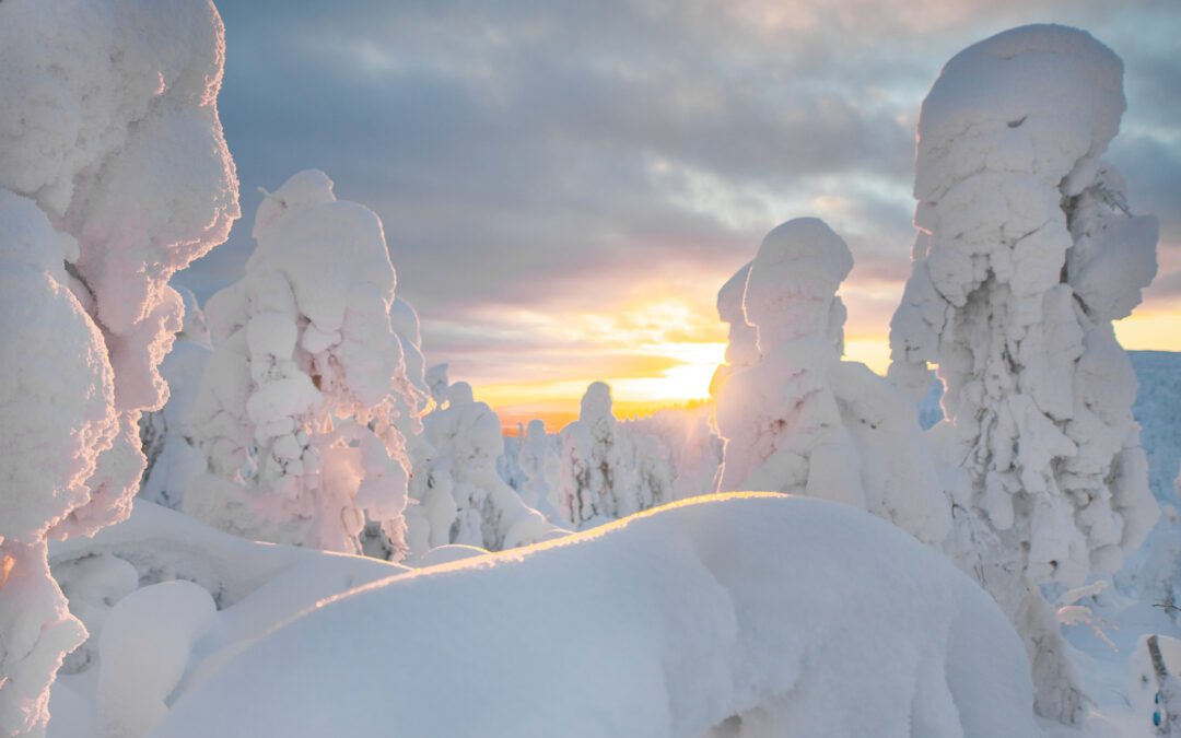 Winter trip in Lapland with Northern Lights (6 days)