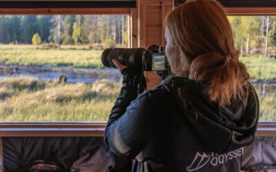 Sur la trace des ours bruns en Laponie (2 jours)