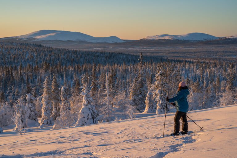 Snowshoe Ylläs