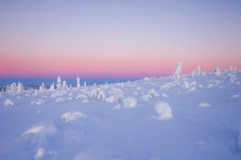 Saariselkä