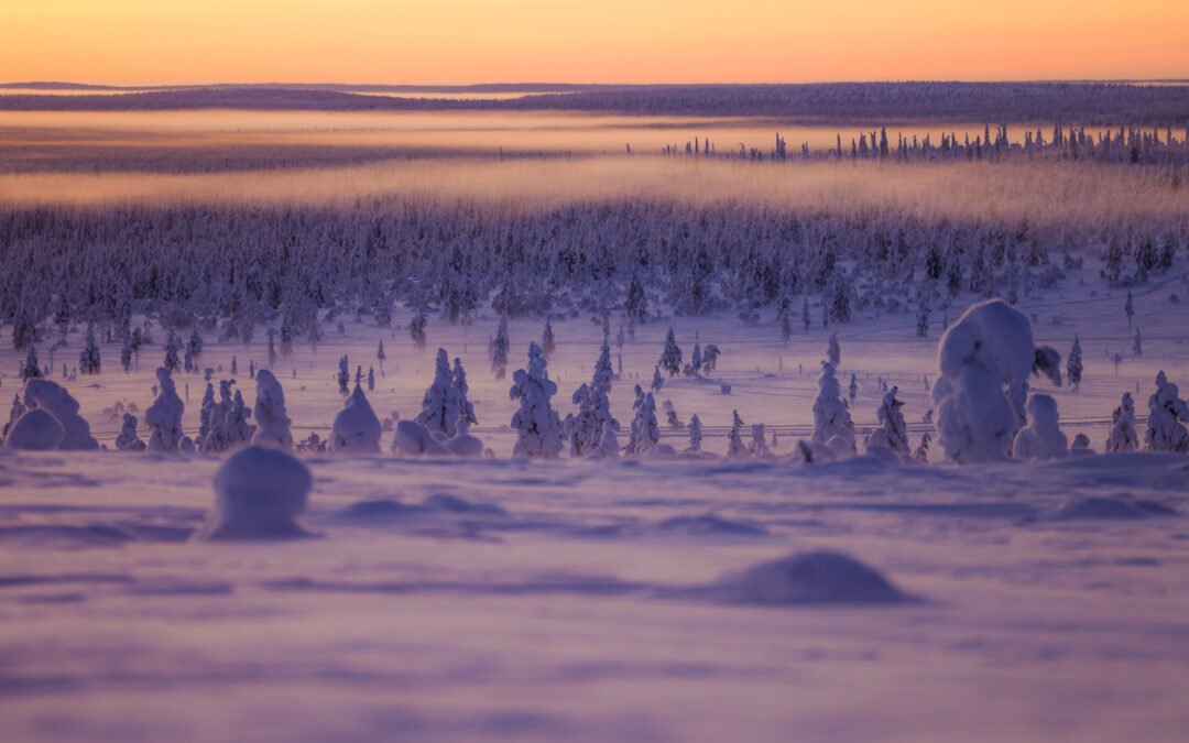Séjour d’hiver en Laponie : forfait logement et activités