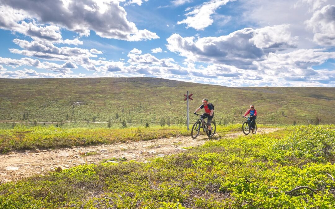 Scenic e-fatbike tour from Saariselkä