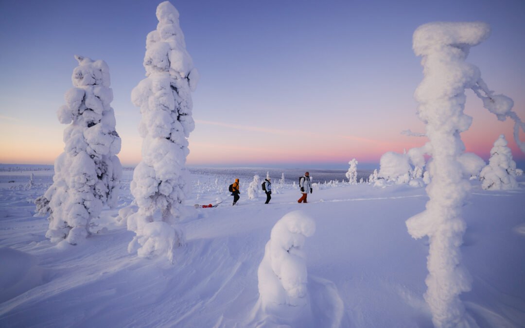 Riisitunturi National Park from Rovaniemi (Private Tour)