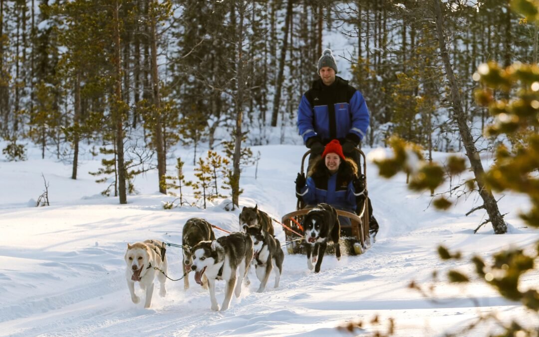 Husky adventure from Saariselkä (5km)