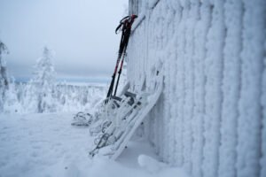Snowshoe Hike