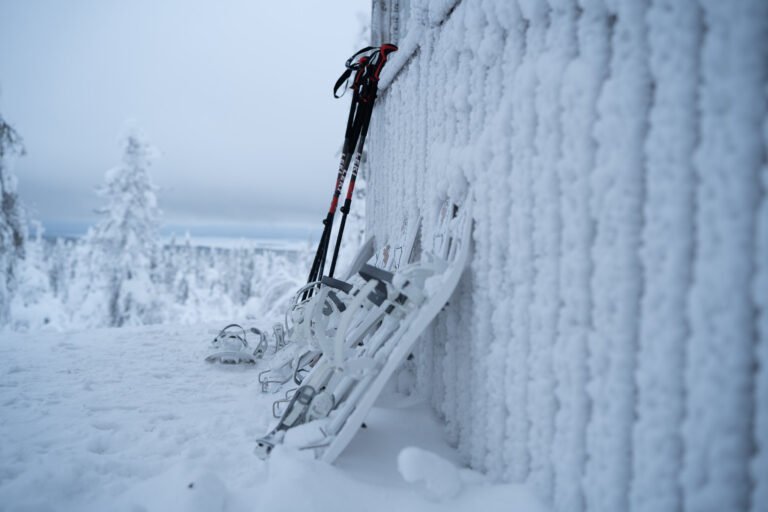 Snowshoe Hike