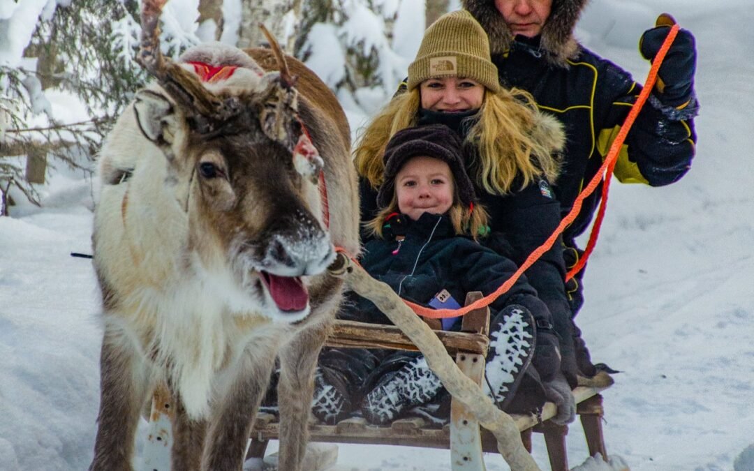 Excursion privée à la ferme de rennes avec safari (2km)