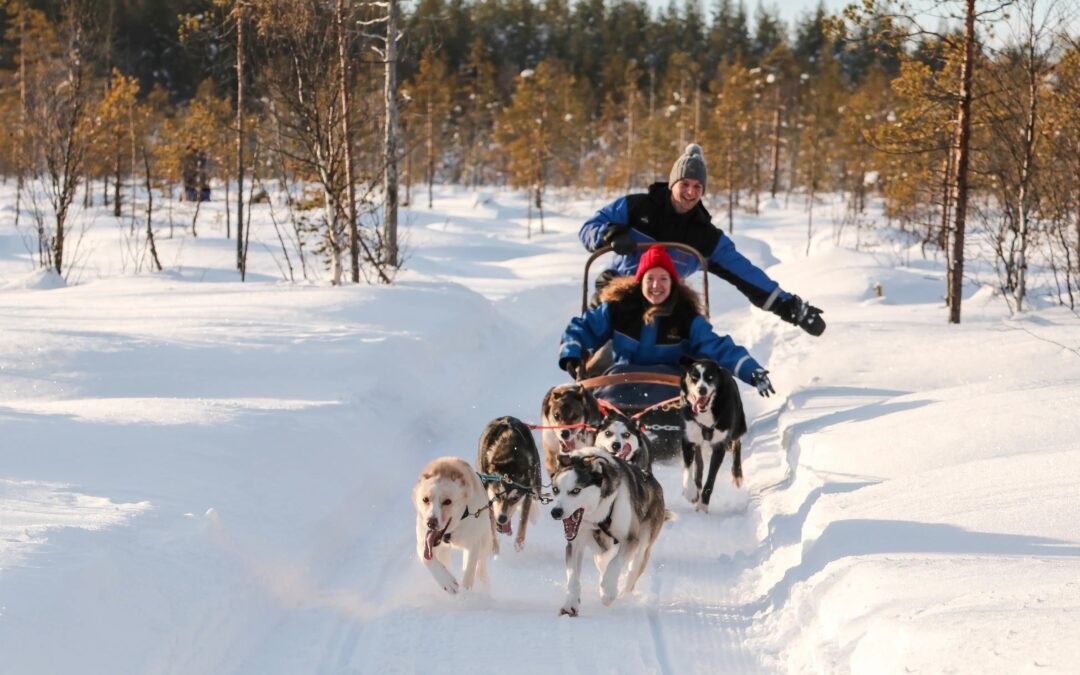 Husky adventure from Levi (8km)