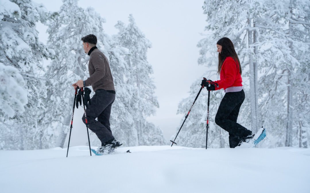 Aventure Privée en Raquettes depuis Rovaniemi (4h)