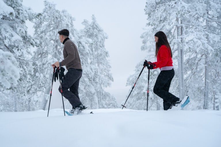 Aventure Privée en Raquettes depuis Rovaniemi (4h)