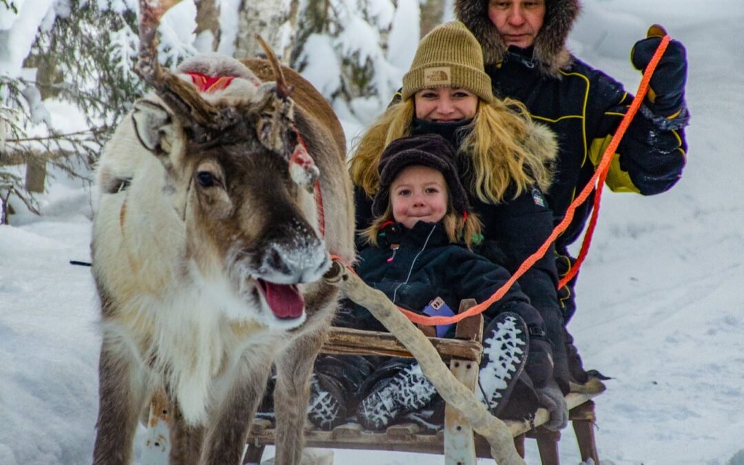 Private Reindeer Farm Visit & Safari (2km)