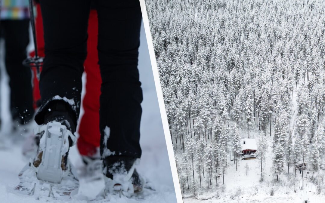 Randonnée Hivernale & Sauna traditionnel (Privé)
