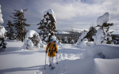 Séjour exclusivement féminin en Laponie: partez à l’aventure!