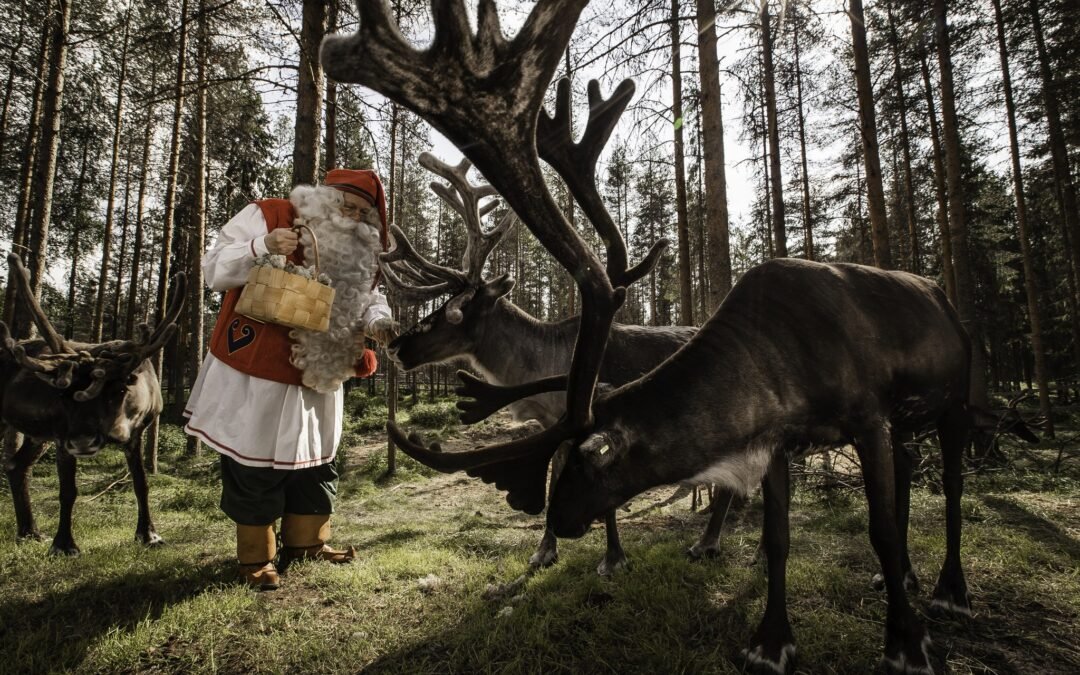 Weekend estivo in Rovaniemi (voli Milan-Bergamo Ryanair) – Hotel & Attività