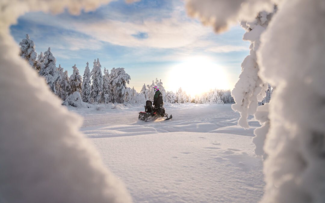Balade privée en motoneige (1h) depuis Rovaniemi