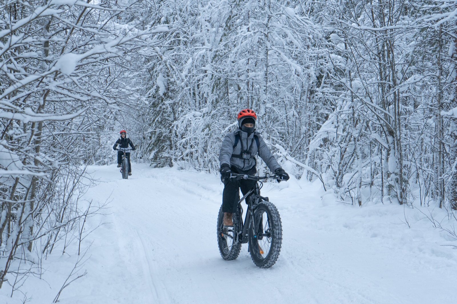 Fatbike électrique rovaniemi hiver fatbike électrique rovaniemi hiver