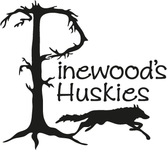 cropped-Pinewoods_huskies_logo_144dpi-1 Husky tour Rovaniemi