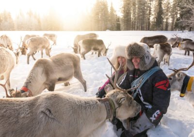 Feeding reindeer at the farm with Ruka Safaris