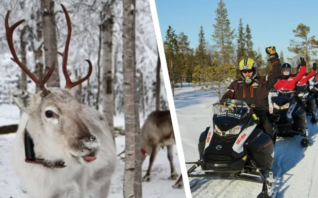 Reindeer Farm Visit by Snowmobile (with Safari) from Ruka