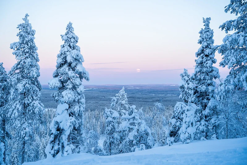 Paysage Hiver 1 Paysage Hiver 1