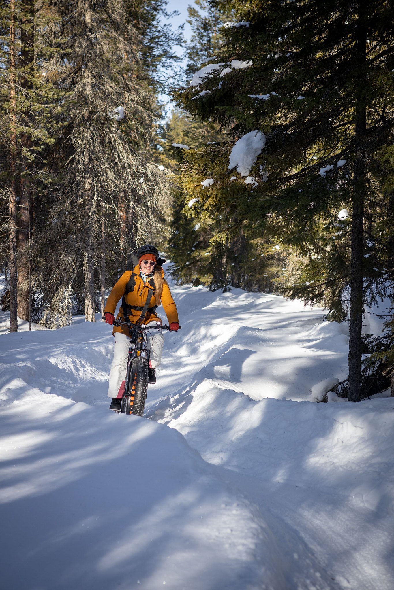 e-fatbike-snow
