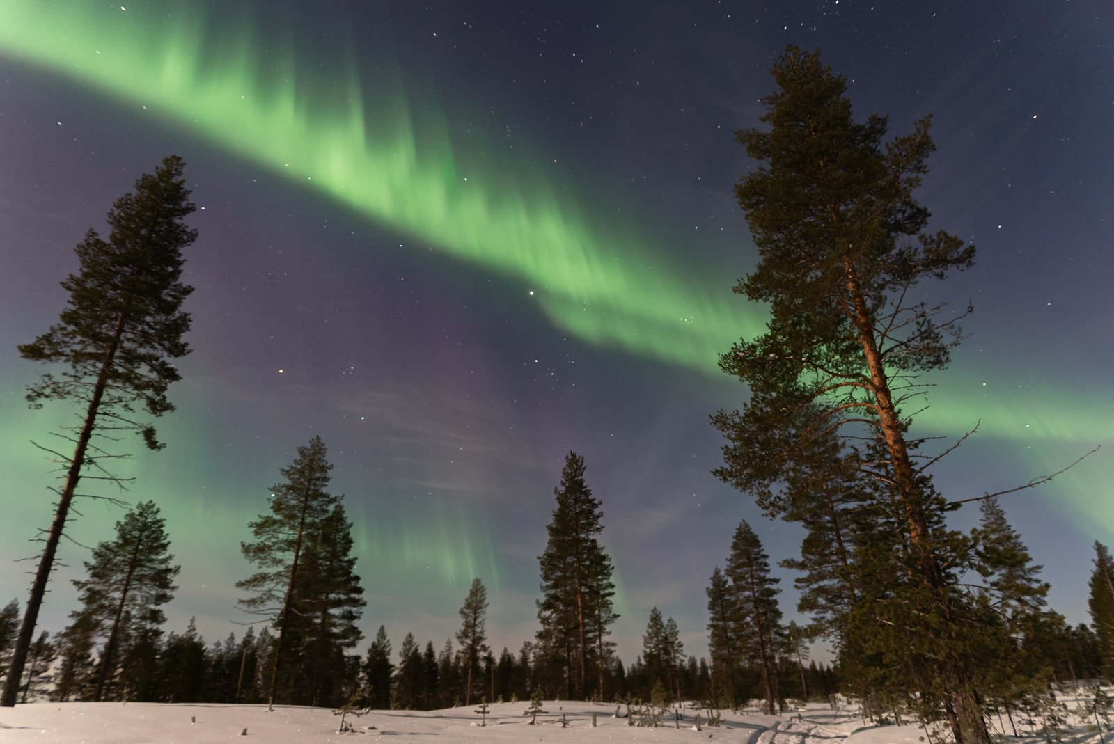 northen-lights-early-snow