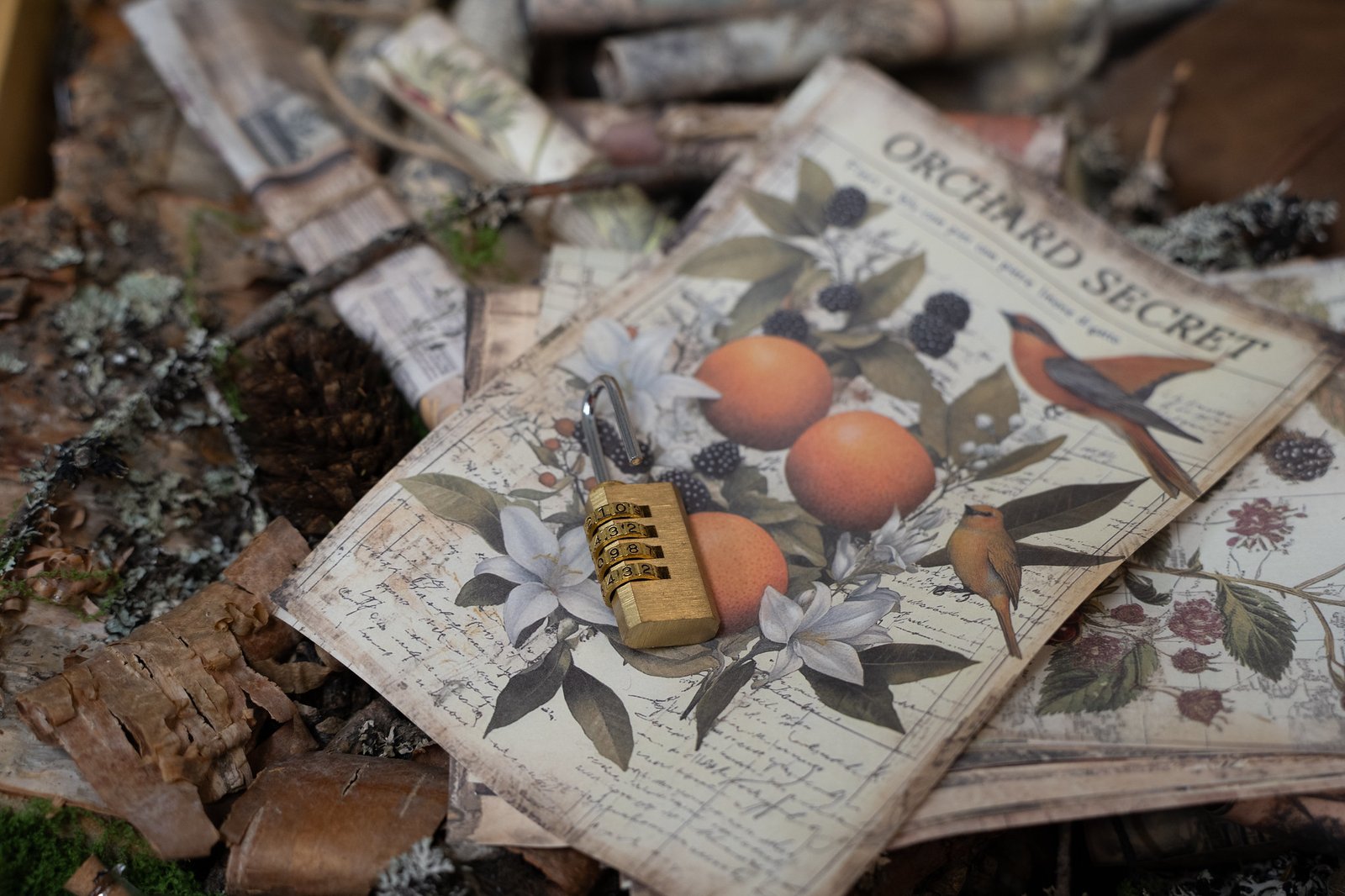 Fatbike Treassure Hunt Rovaniemi