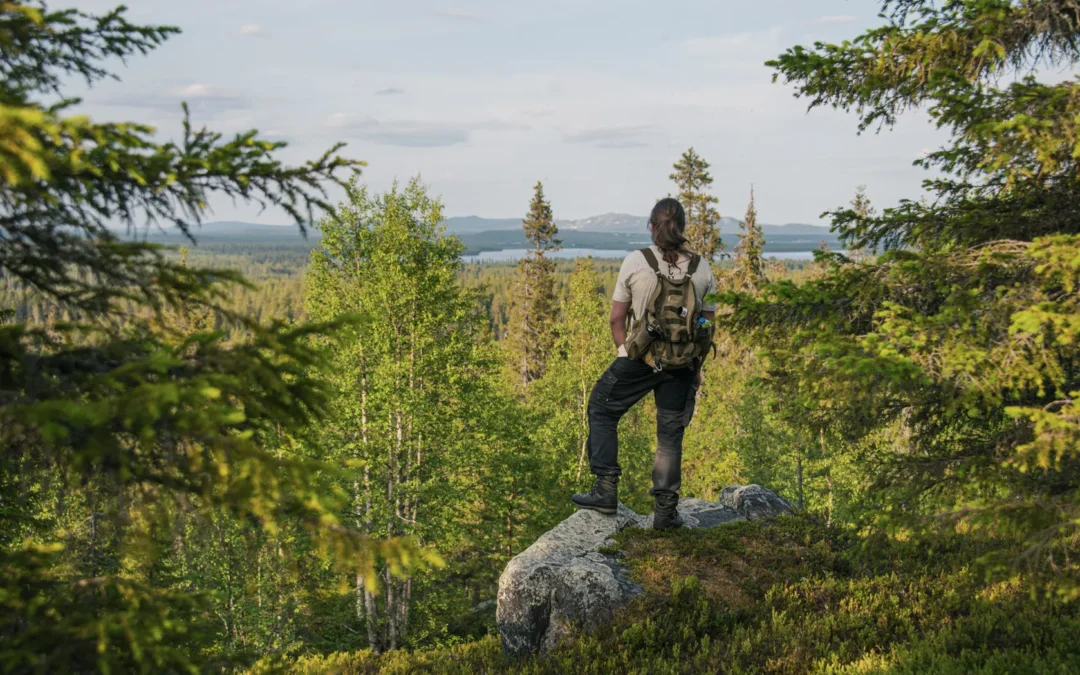 Forest Walk and Wilderness Lunch in Ruka-Kuusamo