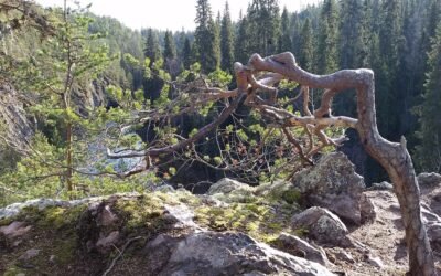 Oulanka Canyon Hike From Ruka