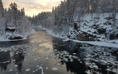 Oulanka National Park – Private Winter Walk