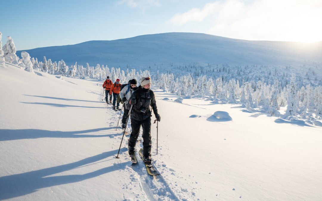 Randonnée en skis de forêt depuis Ylläs