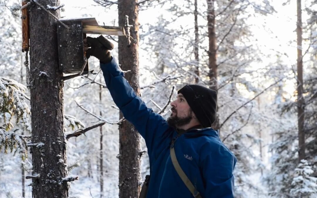 Ski Trip in Kuusamo to Help Birds & Wilderness Lunch