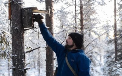 Ski Trip in Kuusamo to Help Birds & Wilderness Lunch