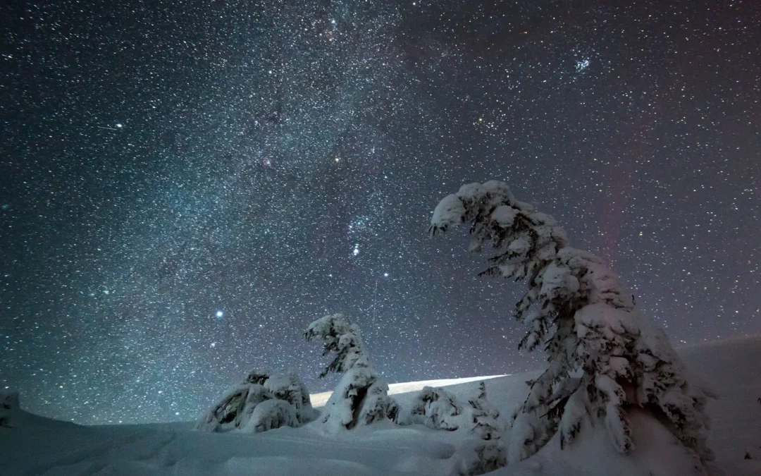 Skiing in Riisitunturi National Park at Night & Wilderness Dinner