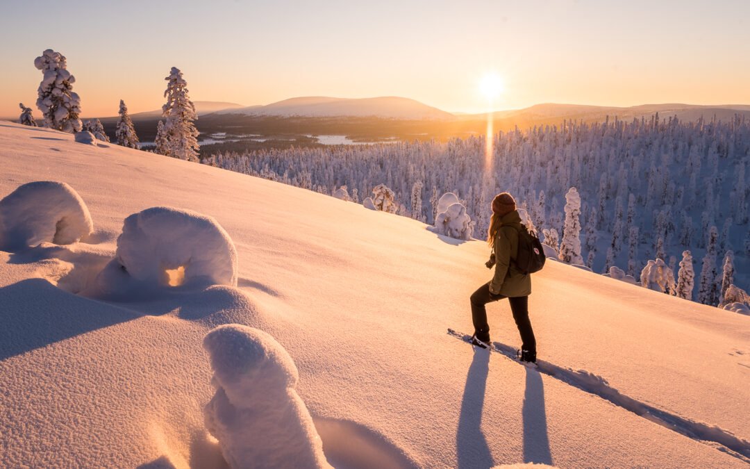 Guided Snowshoe Hike to Kellostapuli with Smoked Fish Lunch and Local Life Museum