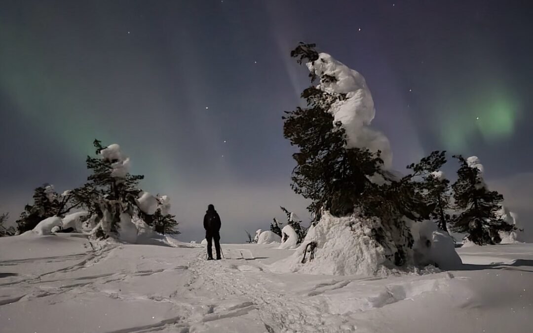 Snowshoe Night Sky Tour From Ruka