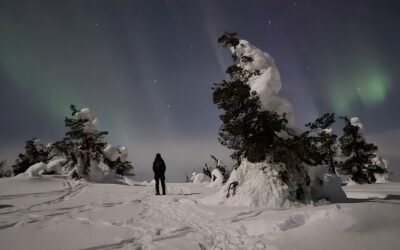 Snowshoe Night Sky Tour From Ruka