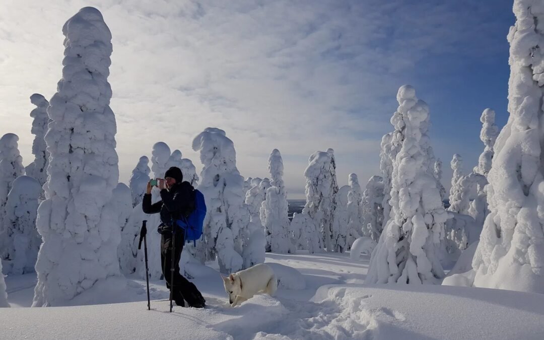 Snowshoeing In Iivaara Nature Reserve – Private Guided Tour